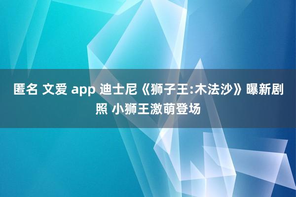 匿名 文爱 app 迪士尼《狮子王:木法沙》曝新剧照 小狮王激萌登场